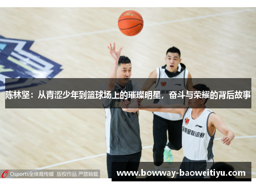 陈林坚：从青涩少年到篮球场上的璀璨明星，奋斗与荣耀的背后故事
