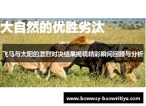 飞马与太阳的激烈对决结果揭晓精彩瞬间回顾与分析